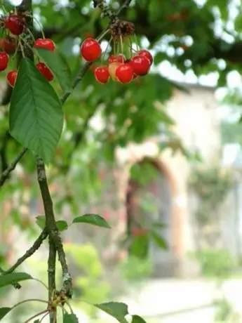 Chateau de Bois-Briand