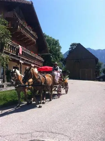 Reitbauernhof Schartner 