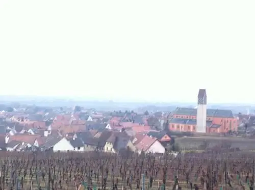 Domaine Humbrecht 