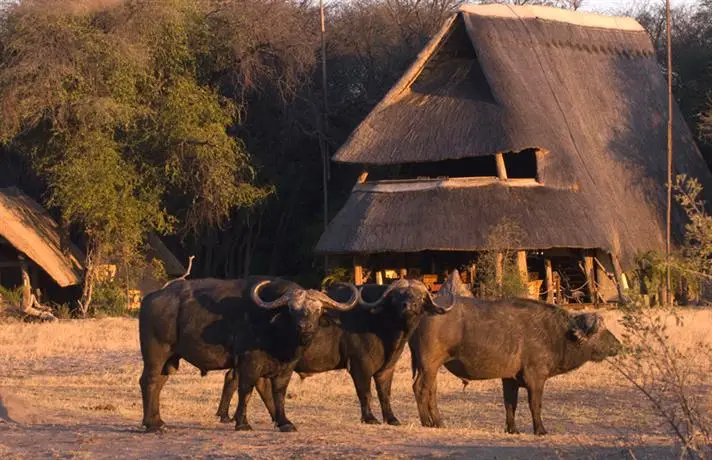 The Hide Safari Camp Hotel 