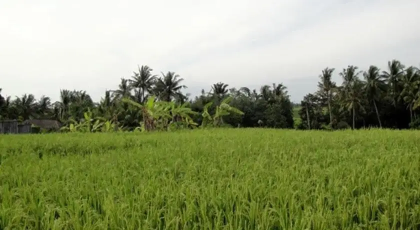 Kubudiuma Villas Bali 