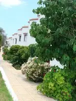 Bougainvillea Hotel Apartments 