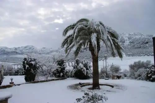 Cortijo Sabila 