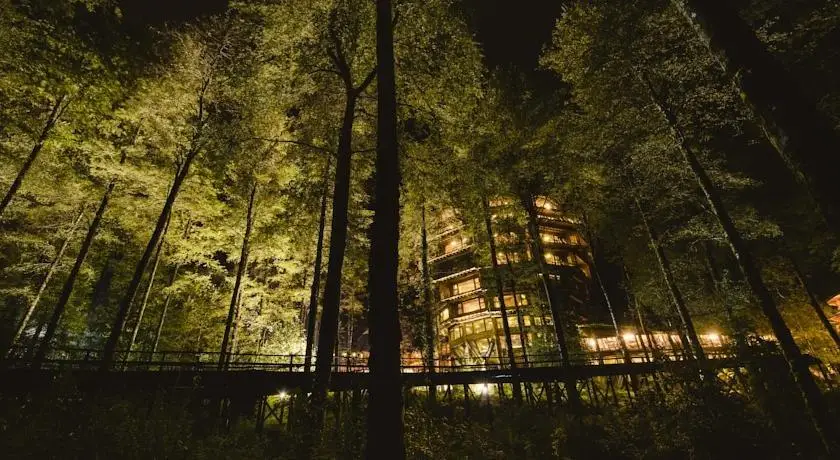 Huilo Huilo Nothofagus Hotel & Spa 