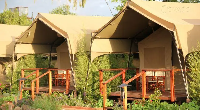 Wildebeest Eco Camp