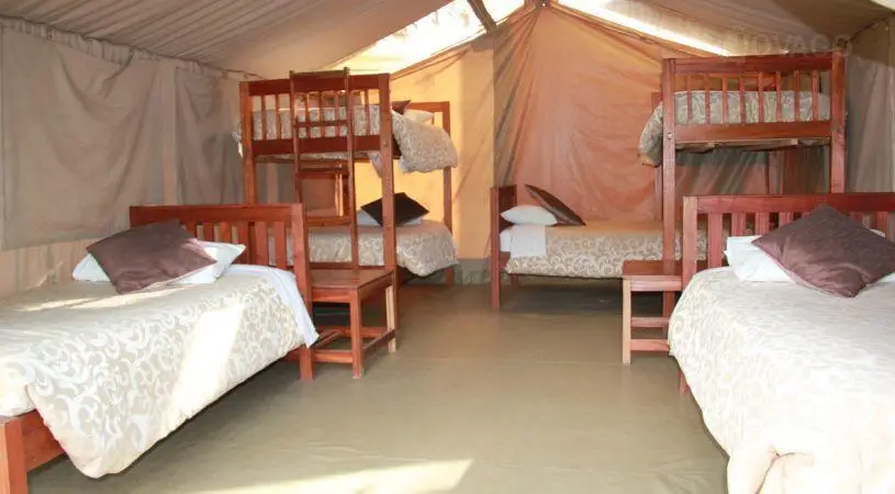 Wildebeest Eco Camp 