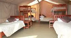 Wildebeest Eco Camp 