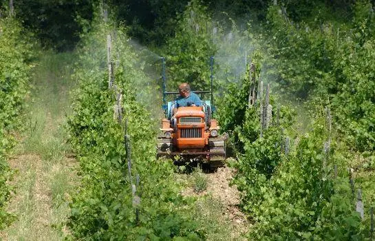 Agriturismo La Pietriccia 