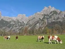 Alpen Appartements Oberlehengut Salzburger Land 