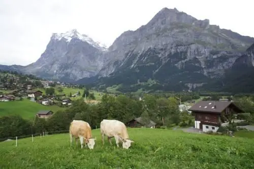 Chalet Bargblick 