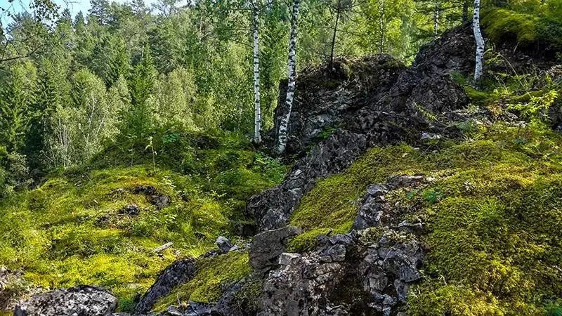 Hotel Alsey Krasnoyarsk 