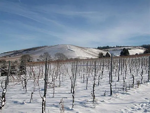 Weingut Gehlen-Cornelius