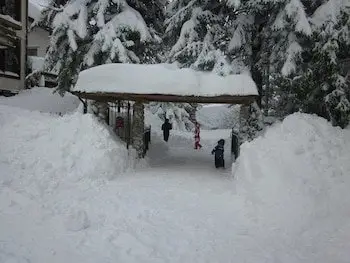 Hotel Orso Bianco 