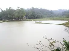 Capitol Village Resort-Madikeri 