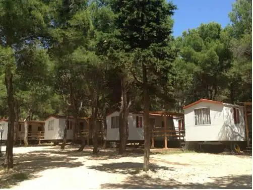 Camp Porat 