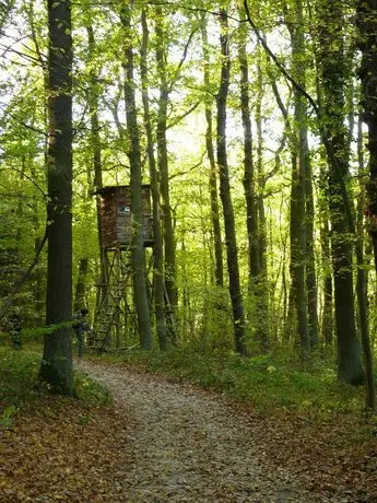 Ferienwohnung Bappert 