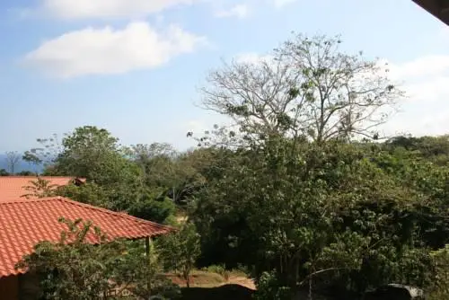 Bird Watching Ocean View House