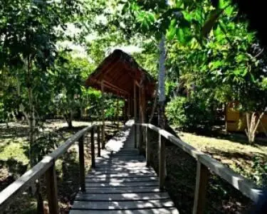 Sotupa Eco House 