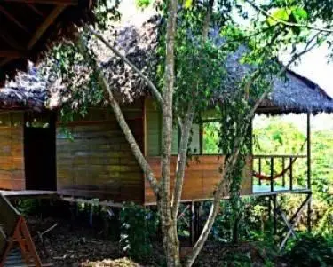 Sotupa Eco House 