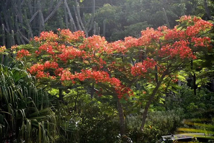 Buzios Espiritualidade Resort Caravelas 