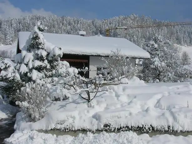 Sonnenschein Kobras Hutte