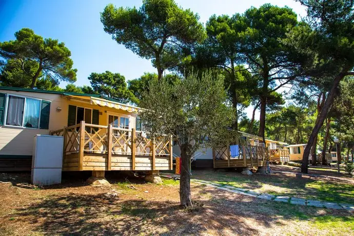 Arena Indije Mobile Homes