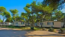 Arena Indije Mobile Homes 