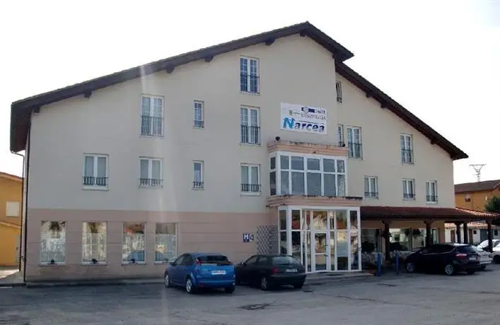 Hotel Narcea 