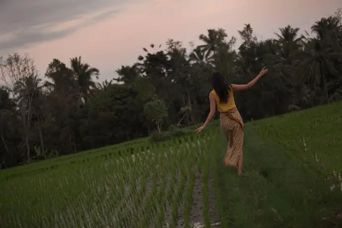 Alaya Resort Ubud 