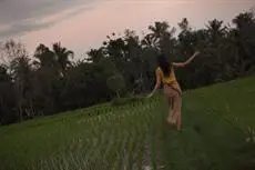 Alaya Resort Ubud 