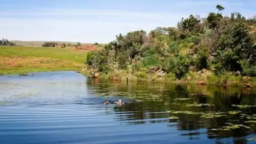 Bateleur Nature Reserve 