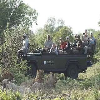 Kambaku Safari Lodge 