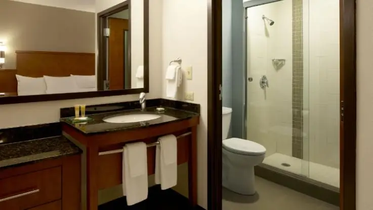 Hyatt Place Hampi 