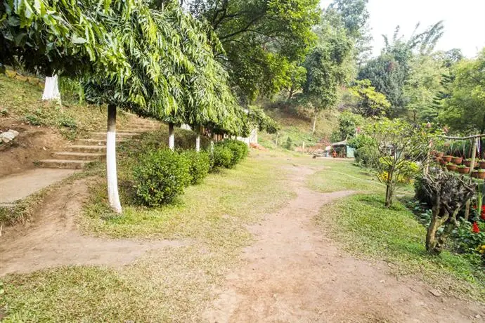 Brahmaputra Jungle Resort 