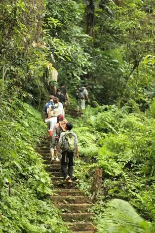 Hillside - Nature Lifestyle Lodge 