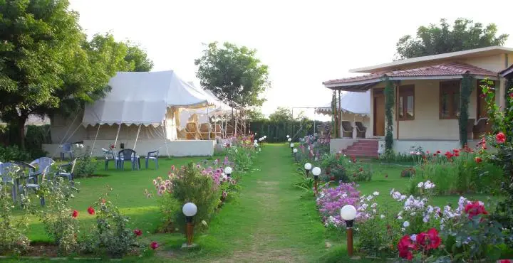 Jungle View Resort Ranthambhore 