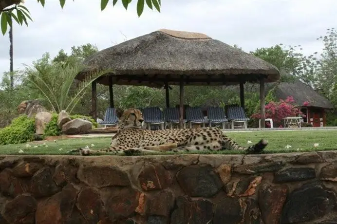 Tshukudu Game Lodge - Hoedspruit