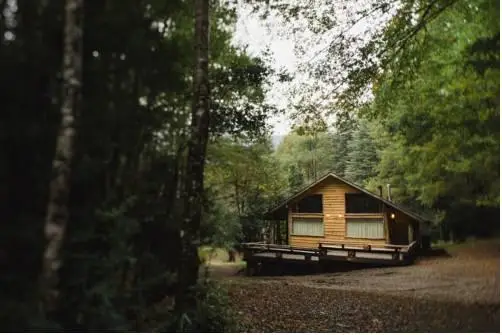 Huilo Huilo Cabanas del Bosque 