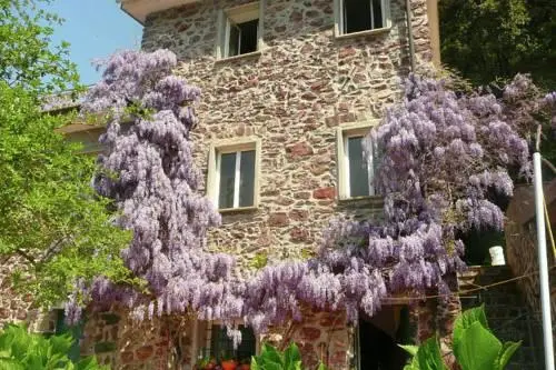 Apartment Gromoletta Sestri Levante 