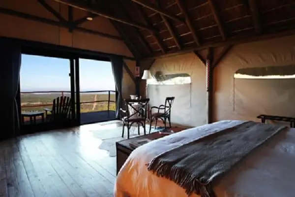 Jbay Zebra Lodge