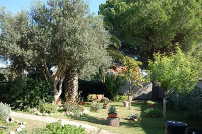 La Barba Di Giove