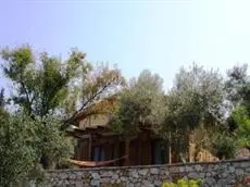 Monodentri Wooden & Stone Traditional Villas 