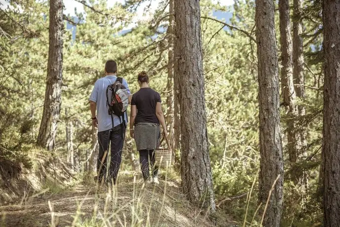 Grand Forest Metsovo 