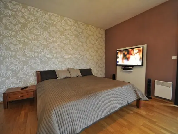 Downtown Apartment Brno 