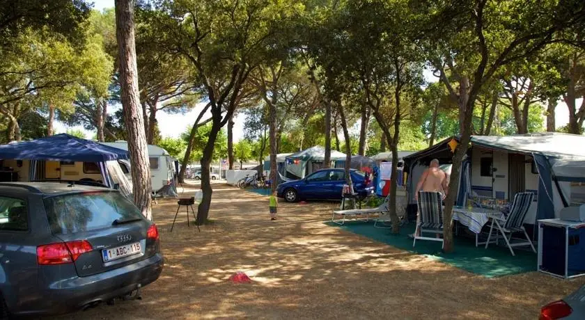 Camping Riembau 