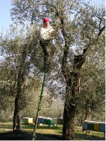 Agriturismo Maso Botes 