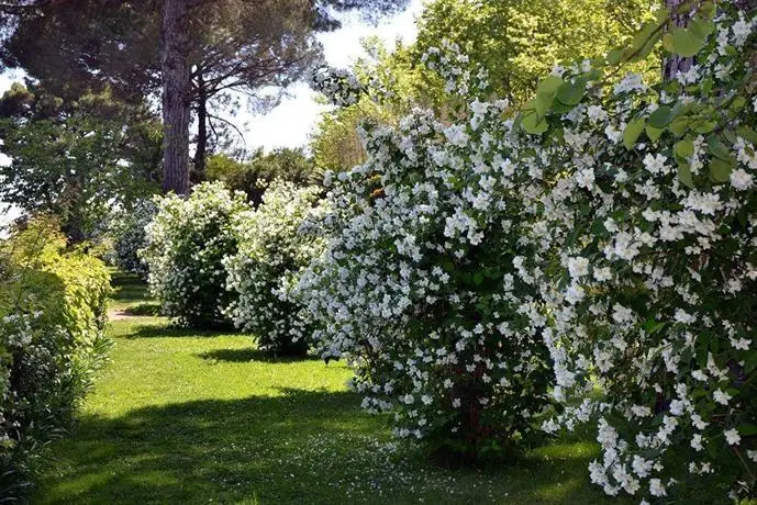 Hotel Villa Cimbrone 