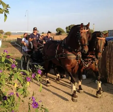 Cortijo El Indiviso 