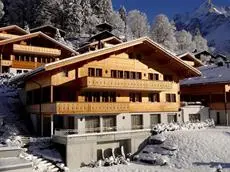 Chalet Mittellegi 