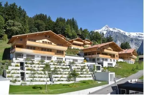 Chalet Mittellegi 